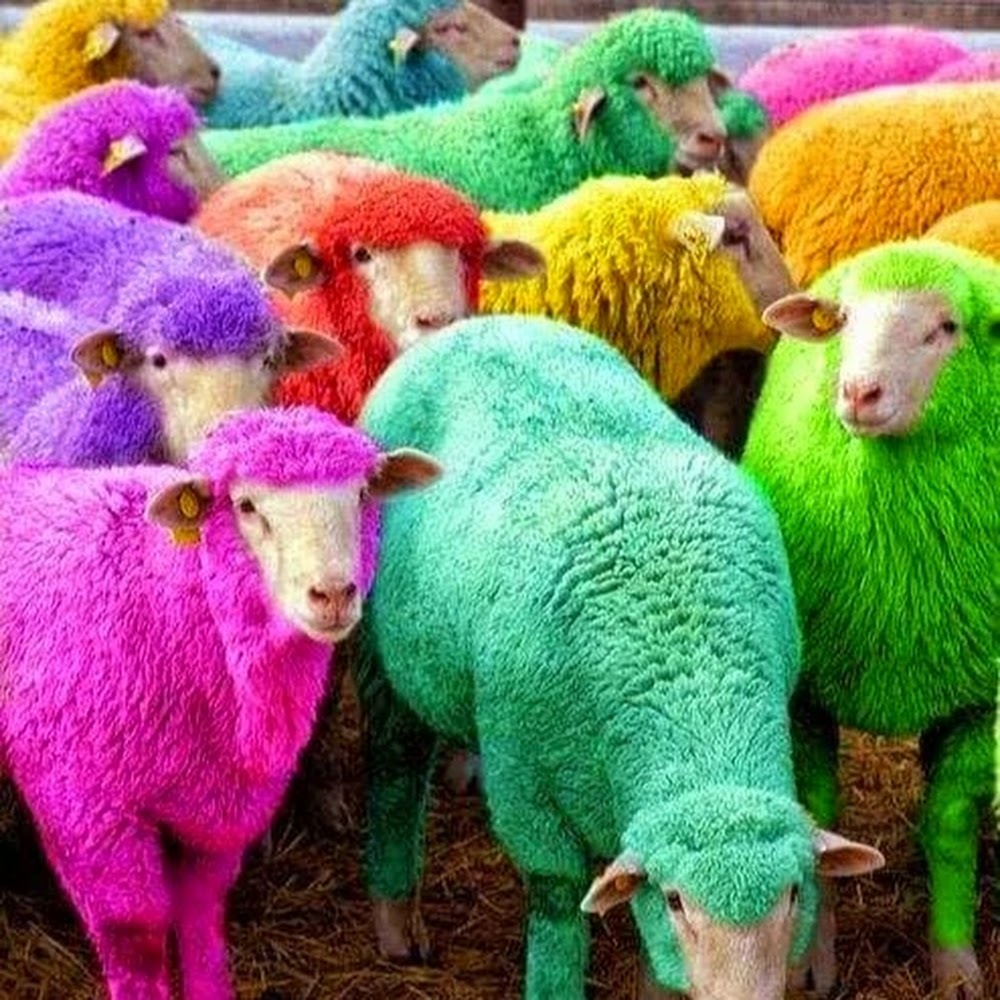 Meet your Posher, Marylisa